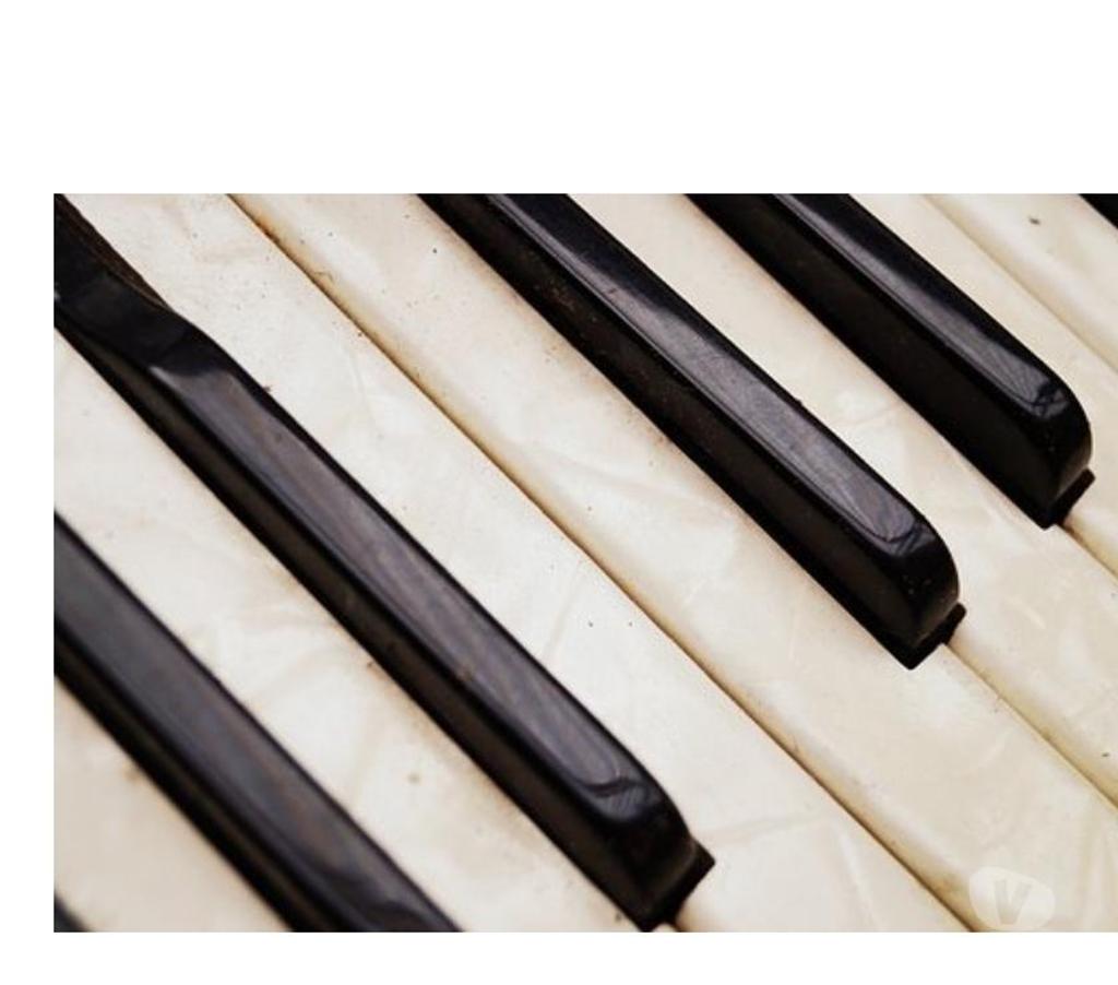  PROPOSE COURS INDIVIDUELS MUSIQUE PIANO, CHANT ET ACCORDEON