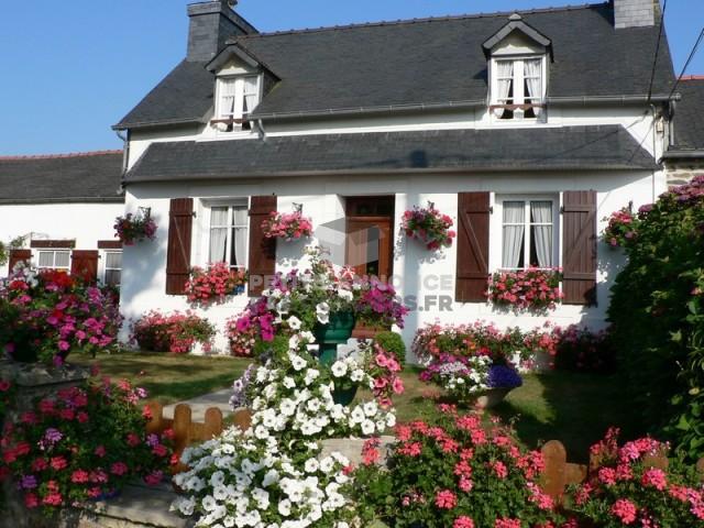 Le Grand Hortensia centre Finistère